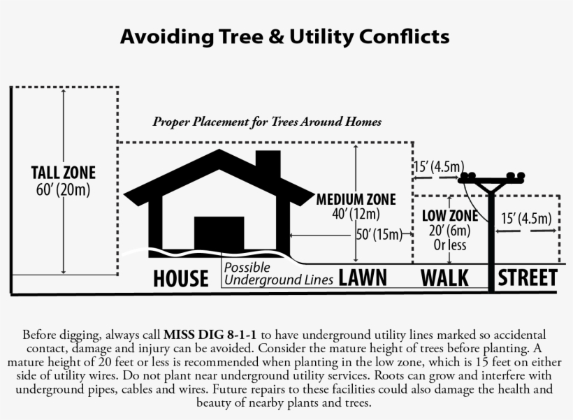 Grand Haven Board Of Light And Power 1700 Eaton Drive - Tree, transparent png #3232089