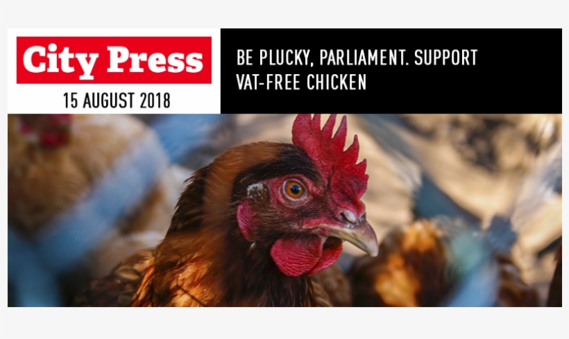 Support Vat-free Chicken - Chicken Coops For Beginners: Guide Blueprints: (breeds, transparent png #3232760