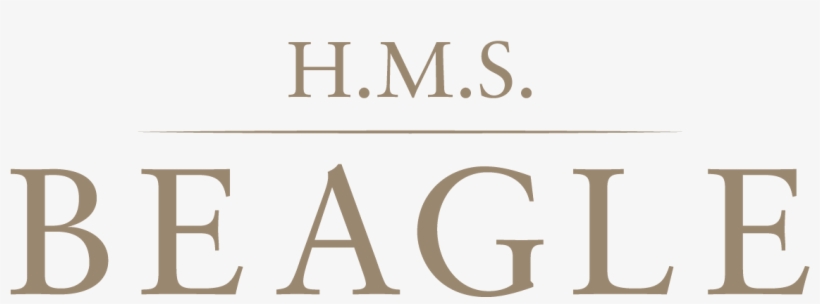 Bob Rinderle Liked This - Hic Sunt Dracones Tattoo, transparent png #3233538