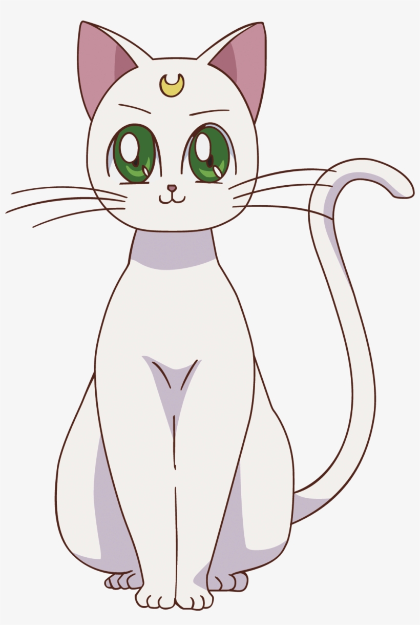 Artemis Sailor Moon Luna, Sailor Jupiter, Sailor Moon - Artemis De Sailor Moon Crystal, transparent png #3233959