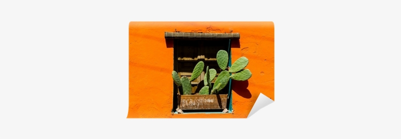 Mexican Style Window With Cactus Wall Mural • Pixers® - Window, transparent png #3234543