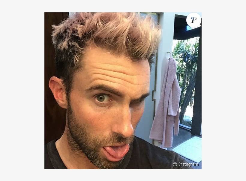 Adam Levine S'est Teint Les Cheveux En Rose - Guys With Blonde Pink Hair, transparent png #3234745