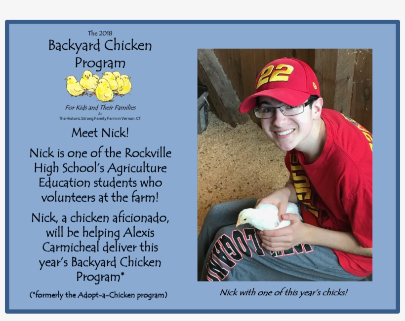 The Idea For The Program Began With A Mother Who Raised - Chicks Really Love Me Chickens, transparent png #3234957