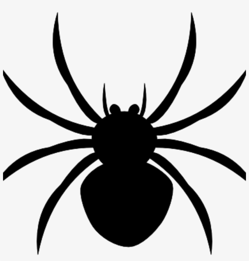 Spider Clipart Clipart Free Hatenylo - Spider Clipart, transparent png #3235395