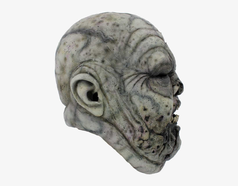 Detail Mask Has Fitted Features, So It Moves With You - Skull, transparent png #3236649