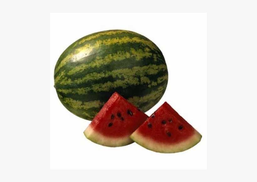 Water Melon Zebra - Watermelon Png, transparent png #3237363
