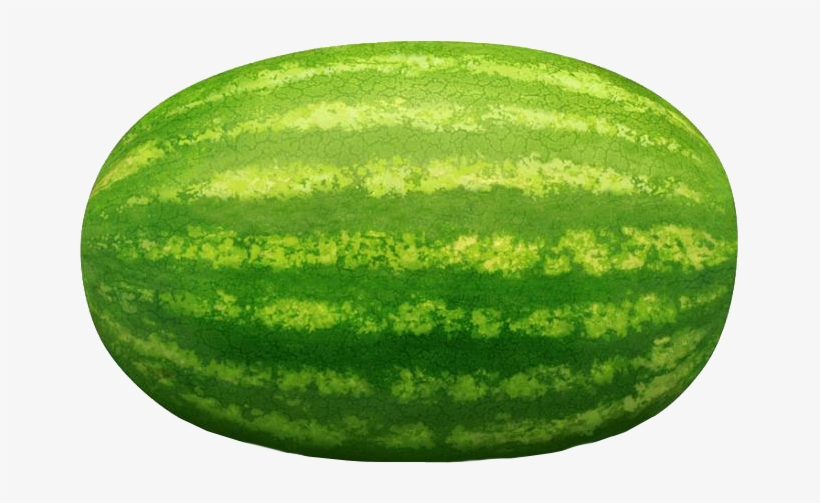 Watermelon - Long Watermelon, transparent png #3237465