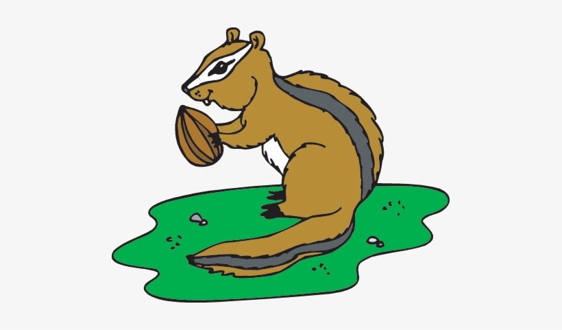 Forest Animals - Chipmunk, transparent png #3237468