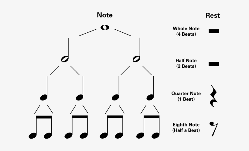 Half Rest Symbol Download - Piano Note Values Chart, transparent png #3237963