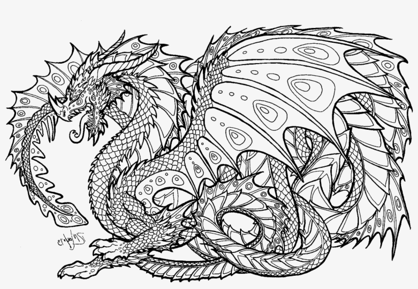 realistic dragon coloring pages for adults adult colouring pages dragon free transparent png download pngkey