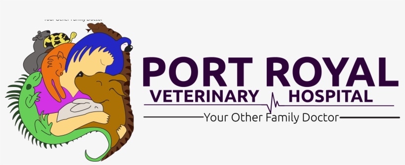 What Are The Safest Synthetic Dog Bones Or Chews - Bobby Portis, transparent png #3240215