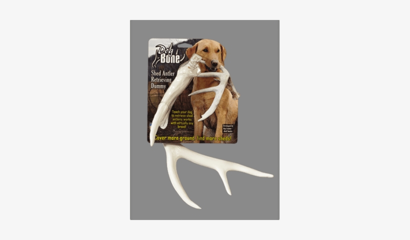 Dog Bone™ Antler Dummy - Dog Bone Shed Dummy Retrieving Antler By Dog &, transparent png #3240737