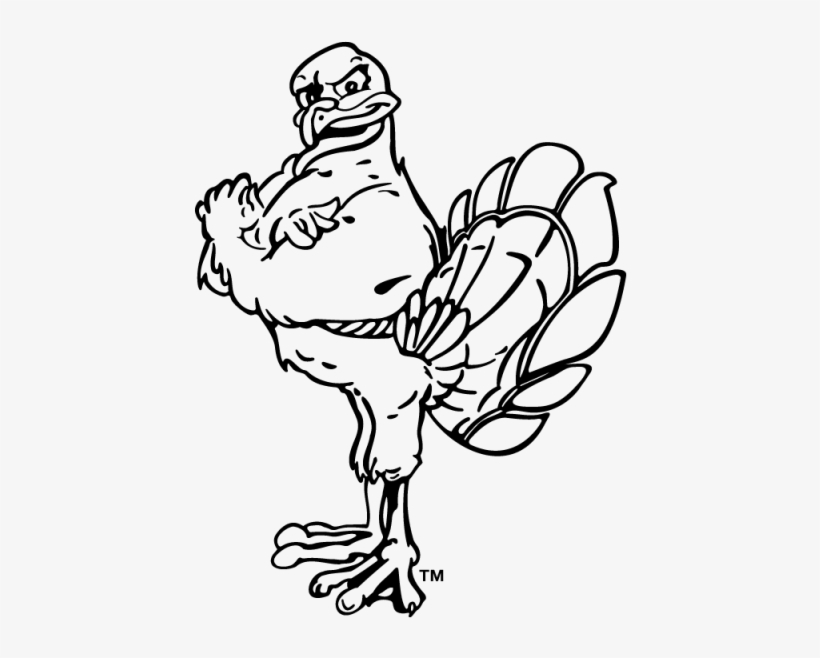 Hokiebird As Outline - Virginia Tech Hokies Vt 2-pack Euro Style Vinyl Oval, transparent png #3241280