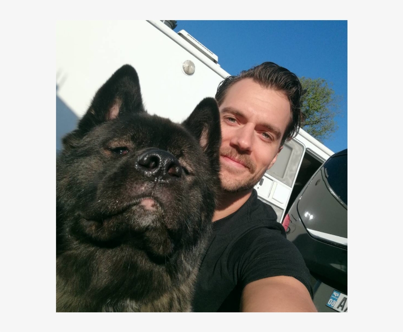 Henry Cavill Pose Avec Son Chien, Kal-el, Un Sublime - Henry Cavill Kal El, transparent png #3241386