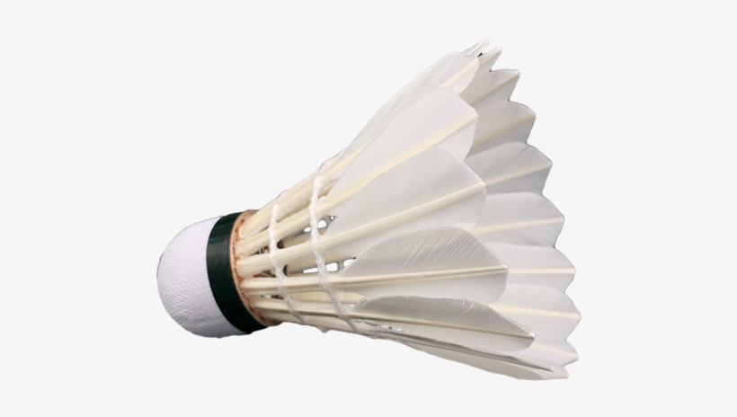 Wholesale Fleet Badminton Shuttlecock From Manufacturer - Badminton, transparent png #3241775