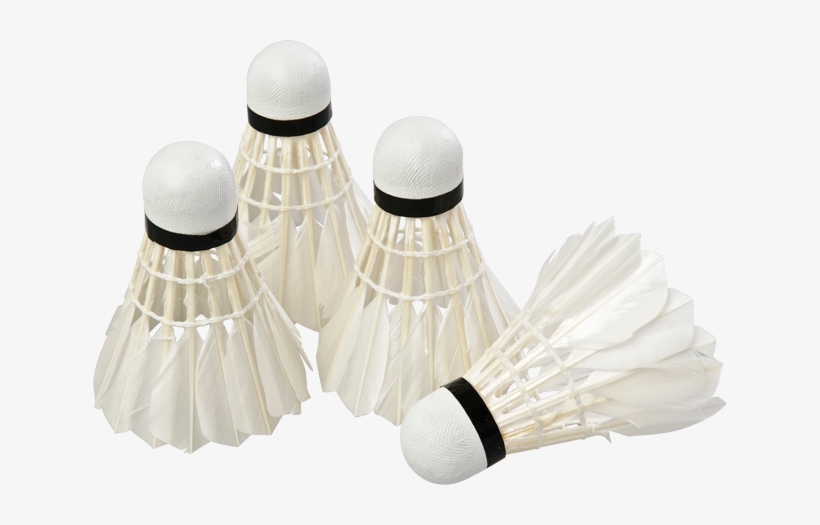 Raboltar 4 Stk - Outra Sport Fjerbolde, transparent png #3241946