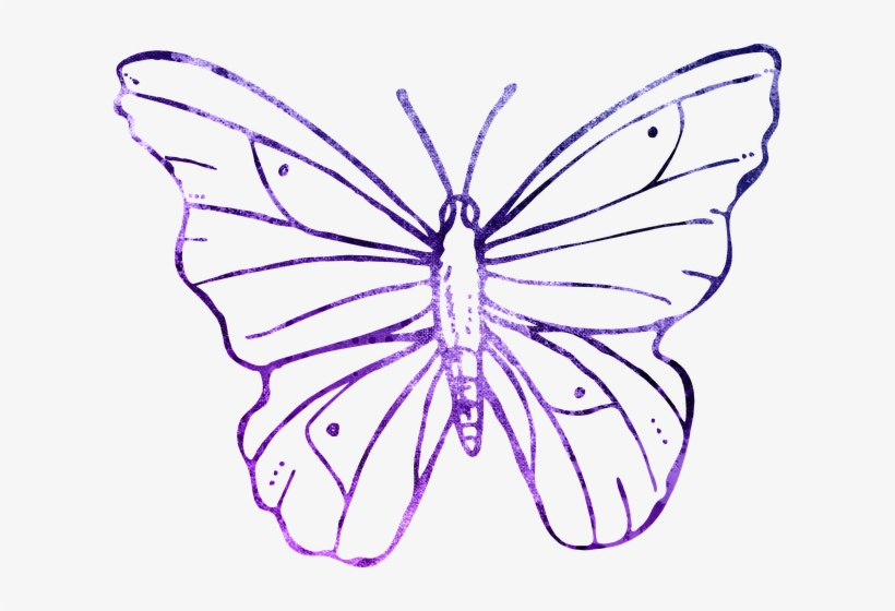 Butterfly Purple Outline Clipart Cute - Transparent Background Butterfly Flower Line Art, transparent png #3243771