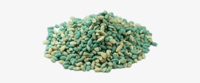 Download - Does Cat Poison Look Like, transparent png #3243990