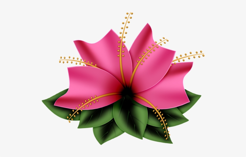 Imagenes Para Diseñar Marcos Para Fotos - Have A Wonderful Wednesday, transparent png #3244448