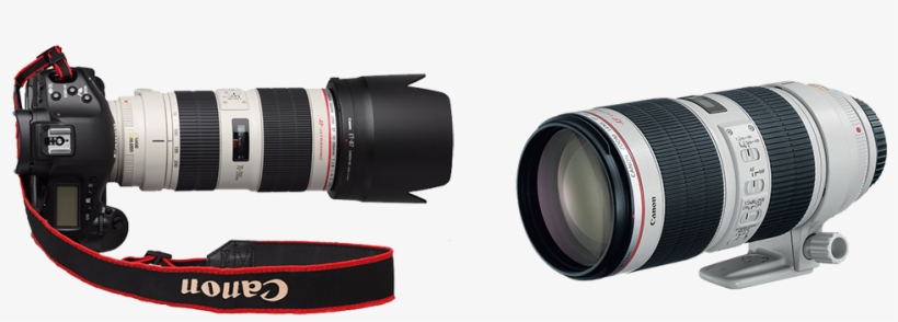 Canon Ef 70-200mm F2 - Canon 5d Mark Iv Lens, transparent png #3244977