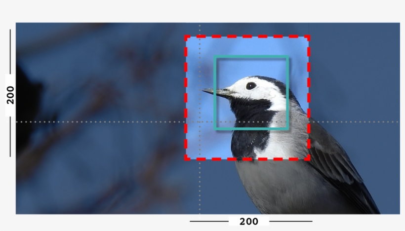 Example Of Fill And Closeness Filter On An Image With - Woodpecker, transparent png #3245283