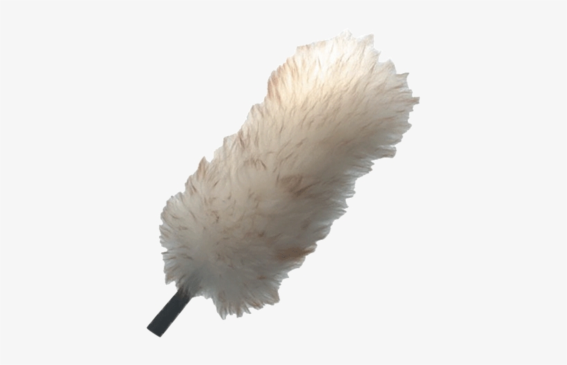 More Views - Transparent Feather Duster Png, transparent png #3245694