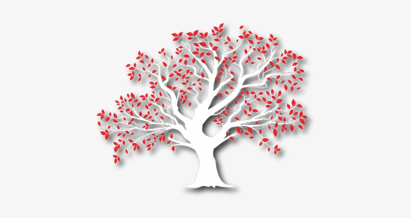 Redtree Photography - Photography, transparent png #3246134