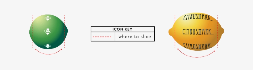 Cut The Ends Off Your Lemon Or Lime, And Then Evenly - Circle, transparent png #3246383