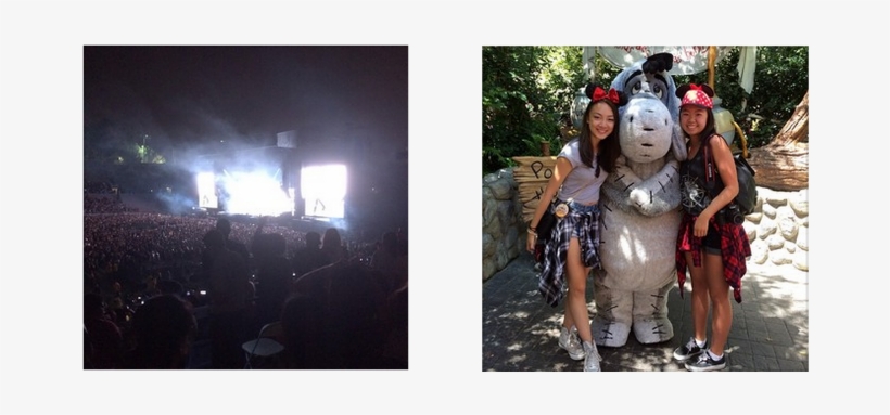 From Left To Right By Row - Statue, transparent png #3248362