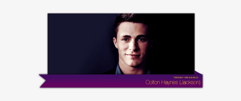 Colton Haynes - Teen Wolf Jackson, transparent png #3248504