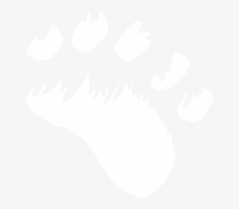 Brought To You By Logikal Code - Cochrane Polar Bear Habitat, transparent png #3249190