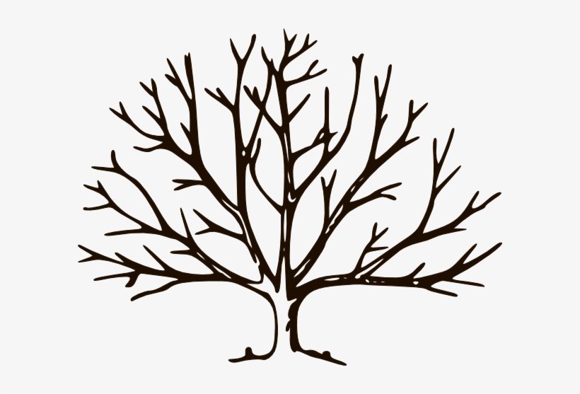 Clipart Empty Tree Chocolate Clip Art At Clker Com - Draw A Winter Tree, transparent png #3249740