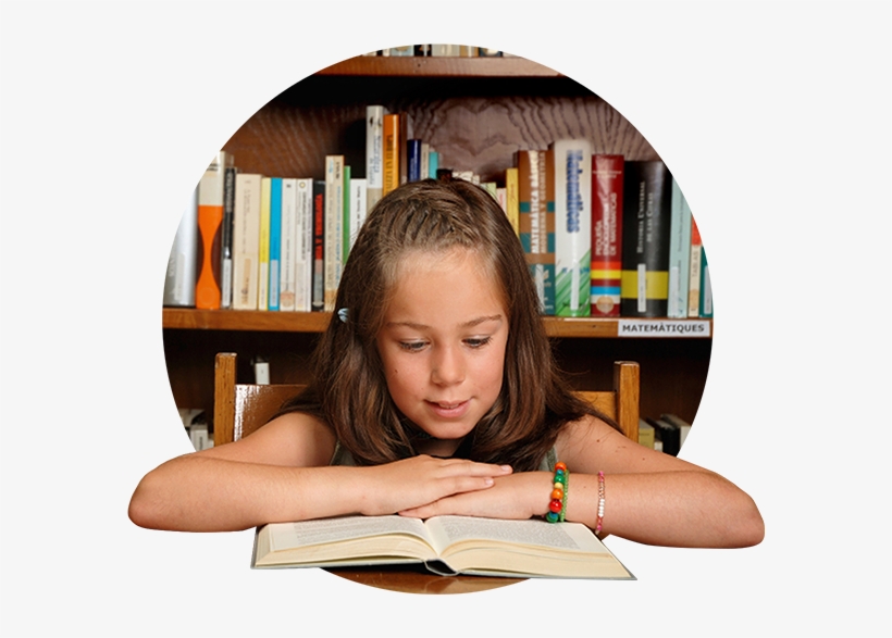 1 - Students Reading Books Png, transparent png #3251925