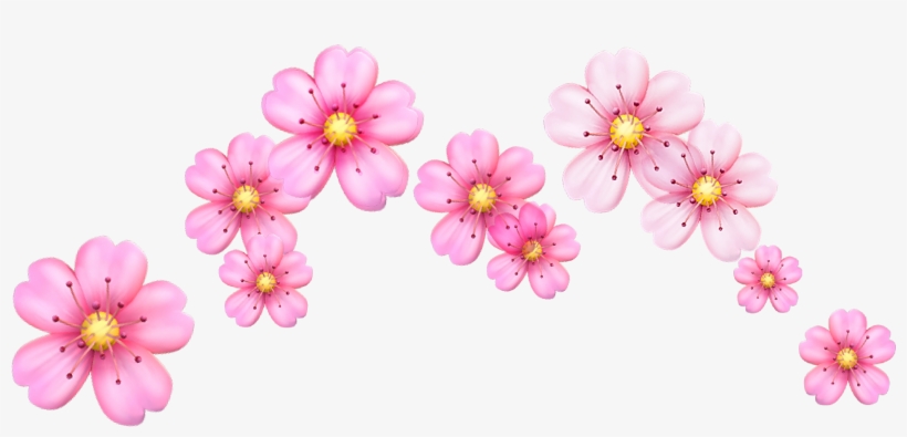 Report Abuse - Cherry Blossom Flowers Emoji, transparent png #3252035