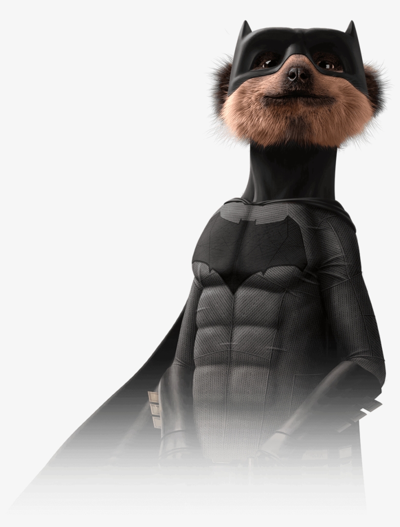 Aleks - Meerkat Batman, transparent png #3252243