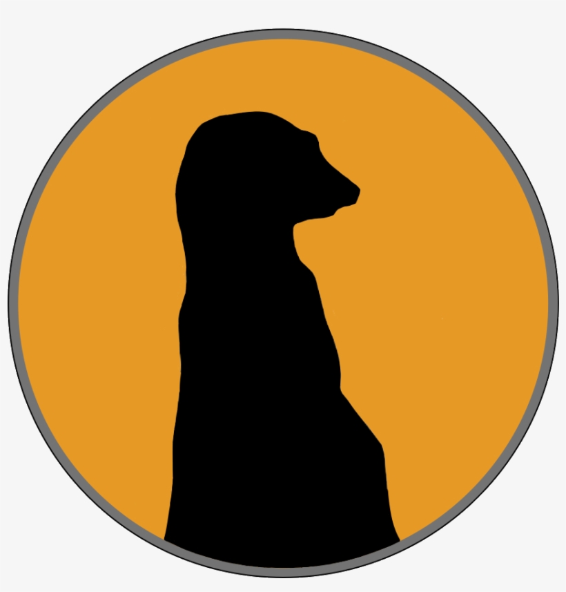 Merkat, transparent png #3252266
