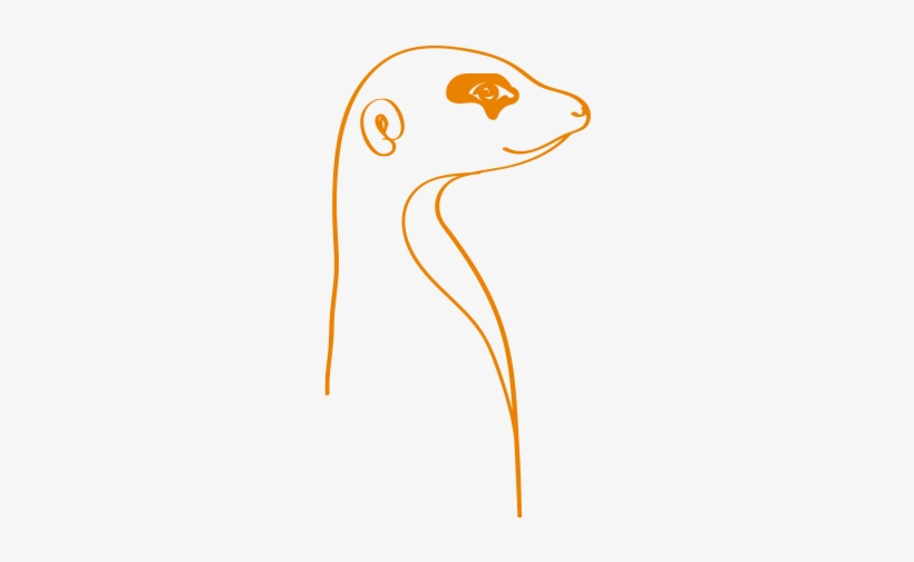 Meerkat, transparent png #3252341