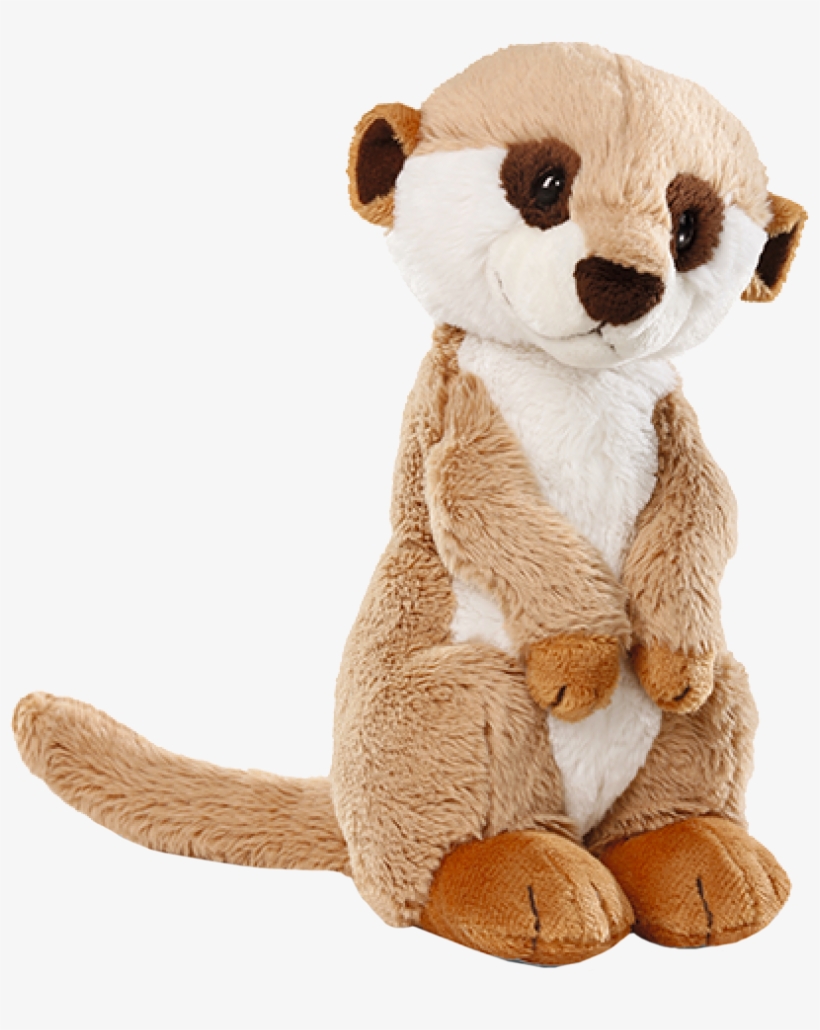 Wild Meerkat Sitting 12” Plush - Nici Meerkat 30cm Sitting, transparent png #3252433