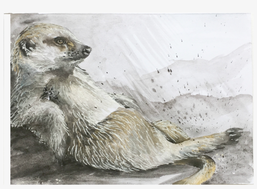 Meerkat, transparent png #3252477