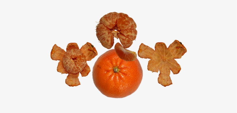 C,juicy,organic,ripe - Tangerine, transparent png #3253312