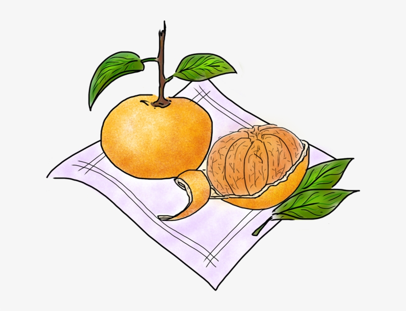 Tangerine, transparent png #3253423