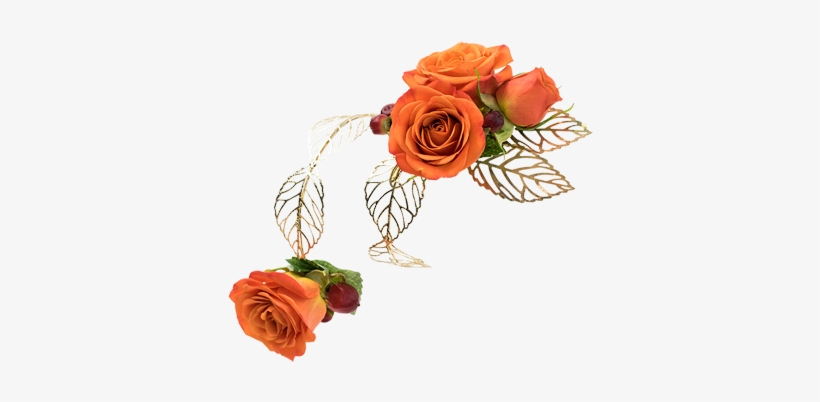 Tangerine Arm Band Corsage - Jacobsen's Flowers, Inc., transparent png #3253657