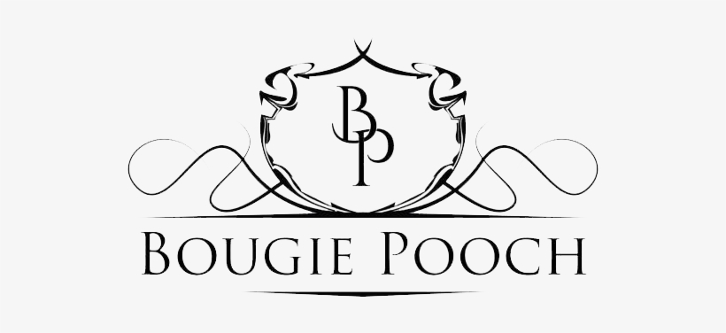 Bougiepooch, transparent png #3254448