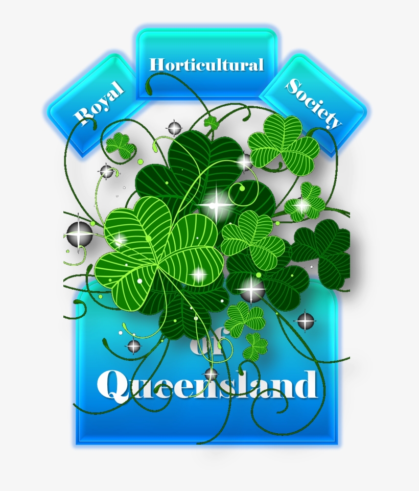 Saint Patrick's Day - Coque Apple Ipad Mini Trefle Porte Bonheur, transparent png #3254552