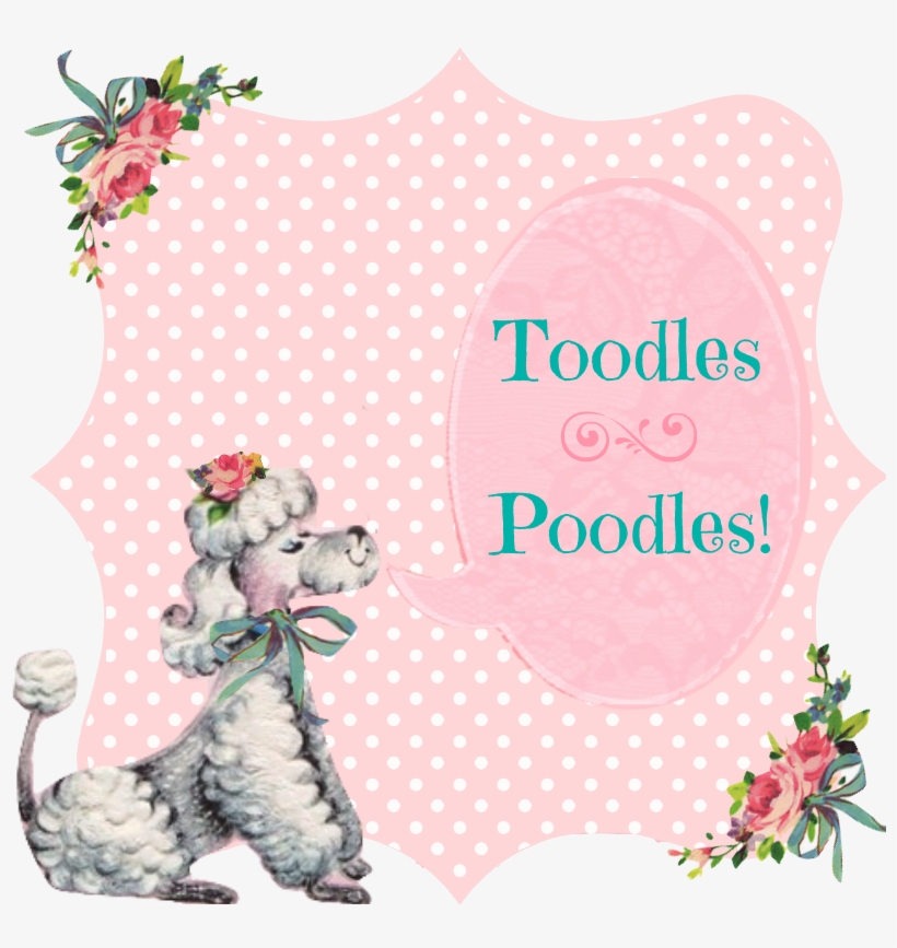 Cecilia Avendaño On Pinterest - Poodle, transparent png #3254890