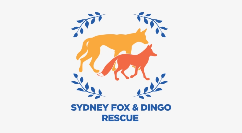 Sydney Fox, transparent png #3255243