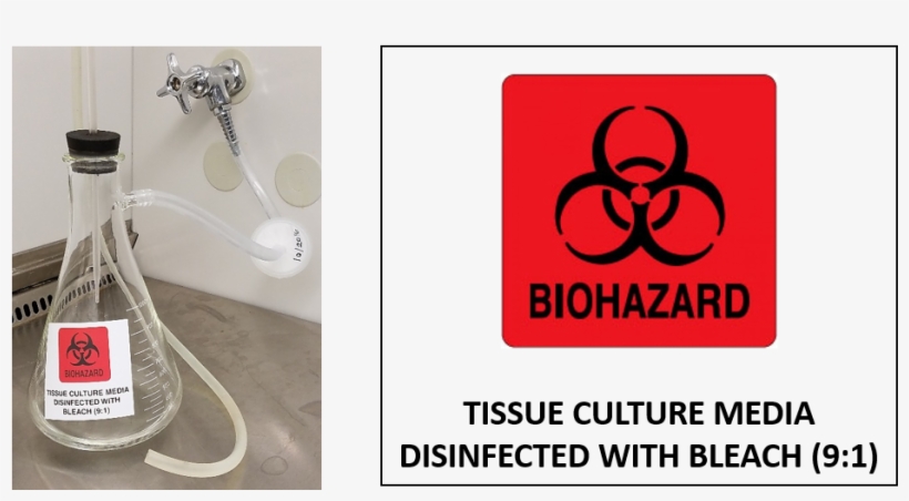 Label The Flask - Condor 35gg73 Warning Biohazard Sign,vinyl,5, transparent png #3255305