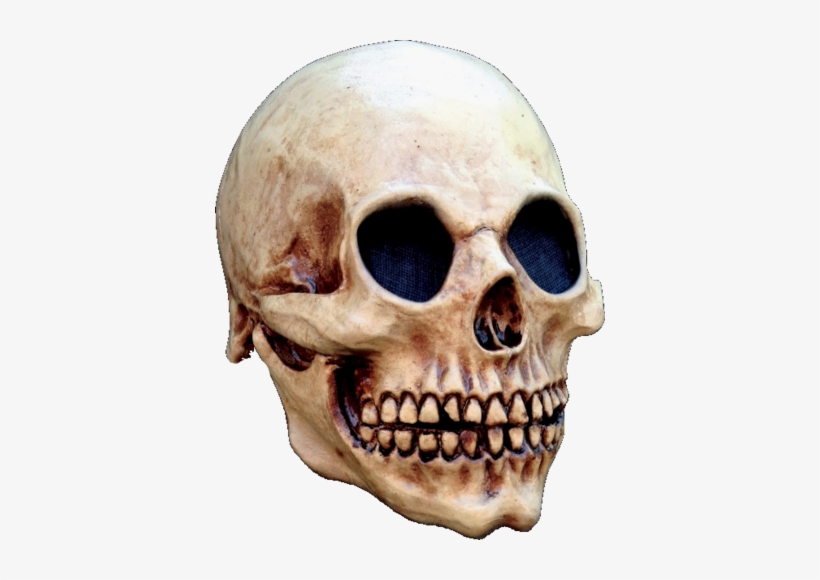 Old Skull Skeleton Horror Mask - Head Skull Halloween Mask, transparent png #3255583