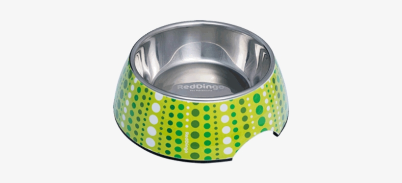 Red Dingo Dog Bowl Lotzadotz Lime Green 175 Ml - Red Dog Bowl Stainless Steel, transparent png #3256054