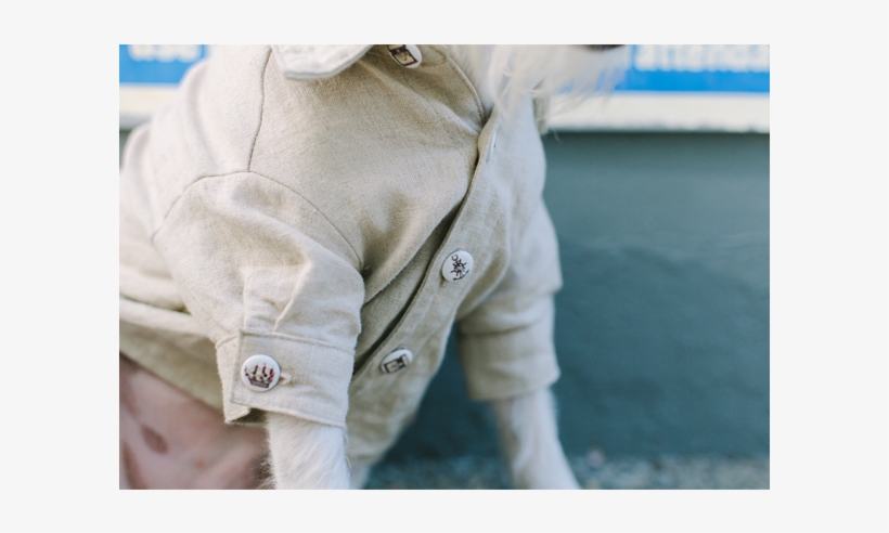 Sandy Bottom Dog Shirt - Pocket, transparent png #3257159